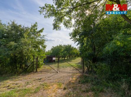 Prodej pozemku, zemědělská půda, 4 295 m²