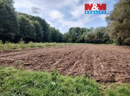 Prodej pozemku, zemědělská půda, 5 882 m²