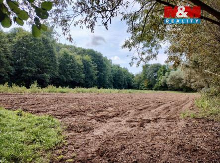 Prodej pozemku, zemědělská půda, 5 882 m²