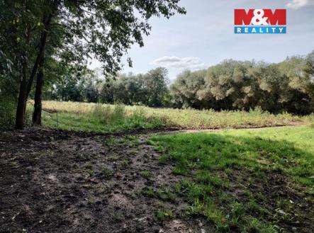 Prodej pozemku, zemědělská půda, 5 882 m²