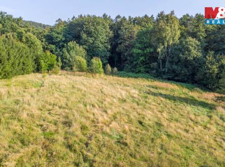 Prodej pozemku, trvalý travní porost, 5 500 m²