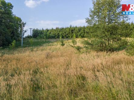 Prodej pozemku, trvalý travní porost, 5 500 m²