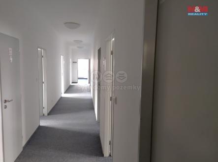 Pronájem kanceláře, 40 m²