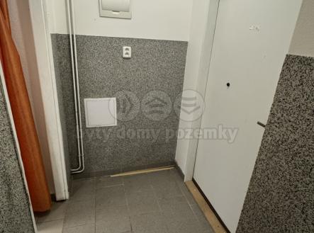 Pronájem obchodní prostor, 30 m²
