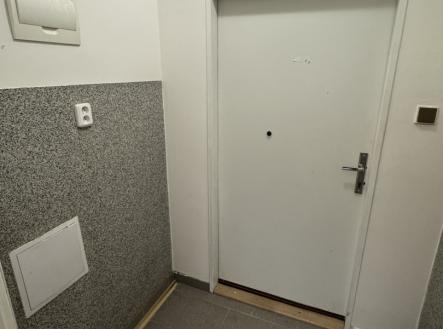 Pronájem obchodní prostor, 30 m²