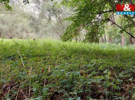 Prodej pozemku, trvalý travní porost, 682 m²