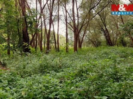 Prodej pozemku, trvalý travní porost, 682 m²