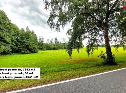 Prodej - pozemek, les, 21 303 m²