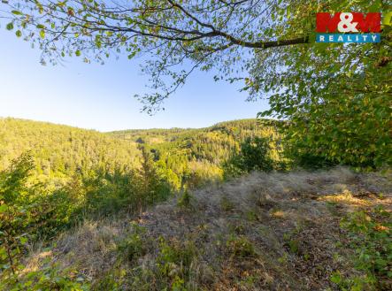 Prodej pozemku, les, 7 450 m²