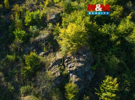 Prodej pozemku, les, 7 450 m²