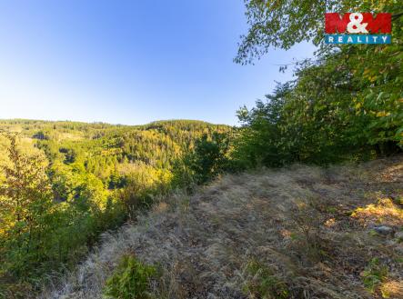 Prodej pozemku, les, 7 450 m²