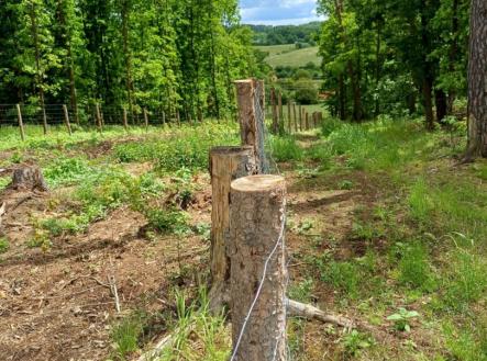 Prodej pozemku, les, 9 634 m²