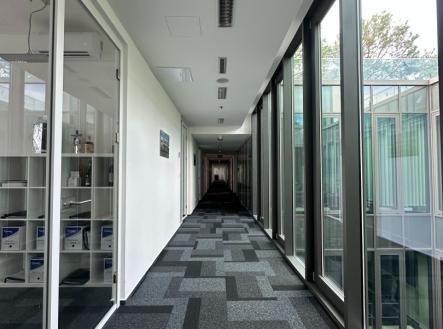 Pronájem kanceláře, 171 m²