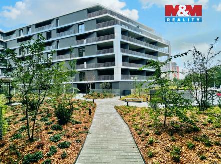 Pronájem bytu, 1+kk, 27 m²