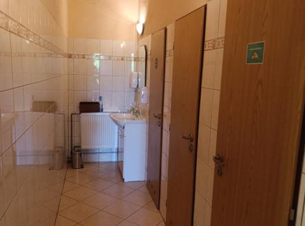 Pronájem obchodní prostor, 60 m²