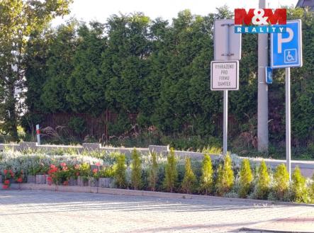 Pronájem obchodní prostor, 43 m²