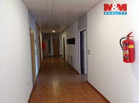 Pronájem obchodní prostor, 43 m²