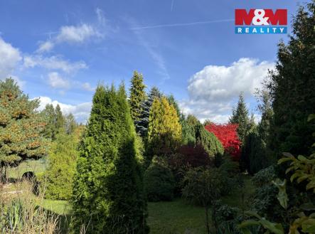 Prodej pozemku, zahrada, 6 000 m²