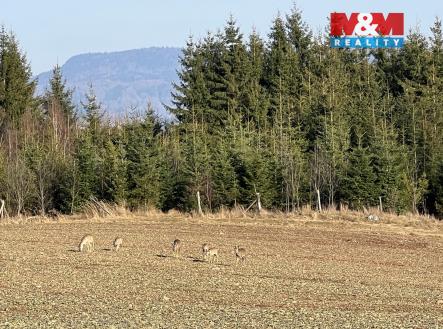 Prodej pozemku, zahrada, 6 000 m²