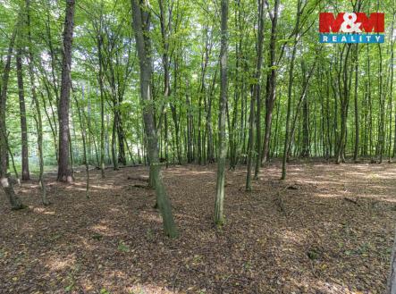 Prodej pozemku, zahrada, 10 316 m²