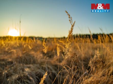 Prodej pozemku pro bydlení, 1 098 m²