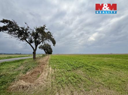 Prodej pozemku, zemědělská půda, 17 695 m²