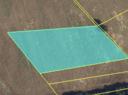 Prodej pozemku, zemědělská půda, 12 826 m²