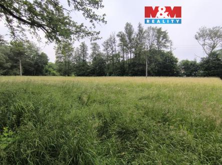 Prodej pozemku, les, 20 128 m²