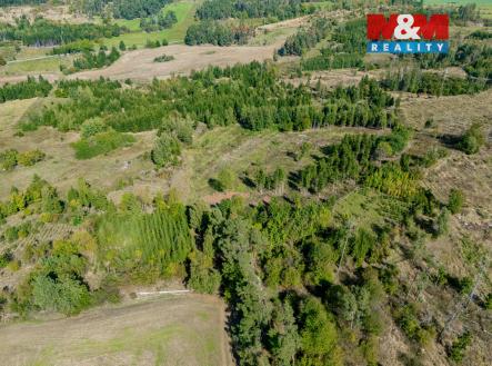 Prodej pozemku, les, 31 116 m²