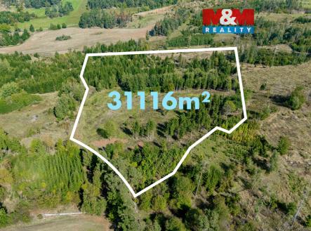Prodej pozemku, les, 31 116 m²