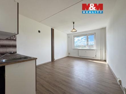 Prodej bytu, 1+kk, 25 m²