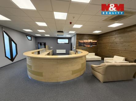 Pronájem obchodní prostor, 100 m²