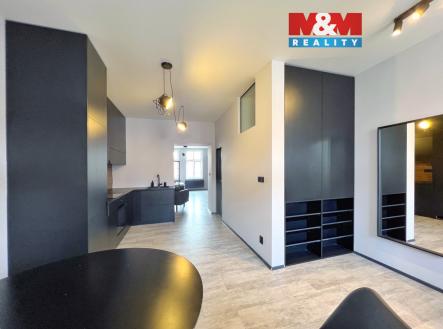 Pronájem bytu, 1+1, 55 m²