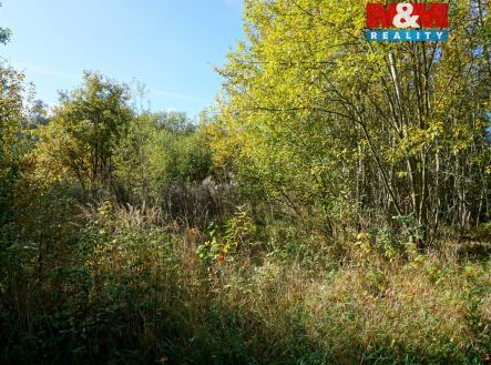 Prodej pozemku pro bydlení, 3 689 m²
