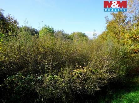 Prodej pozemku pro bydlení, 3 689 m²