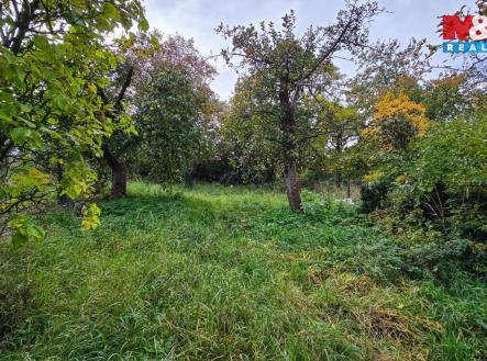 Pronájem pozemku, zahrada, 535 m²