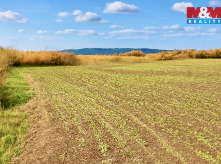 Prodej pozemku, zemědělská půda, 9 215 m²