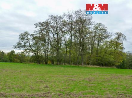 Prodej pozemku, les, 1 252 m²