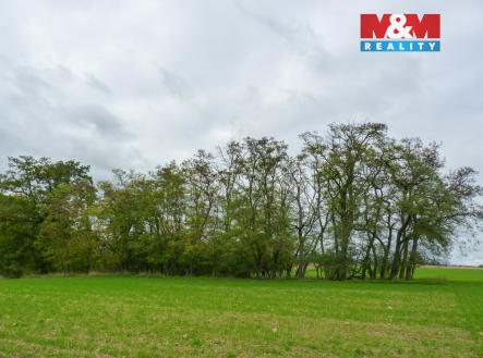 Prodej pozemku, les, 1 252 m²