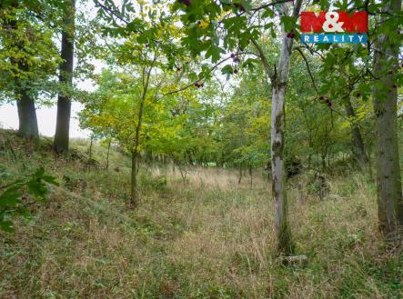 Prodej pozemku, les, 1 252 m²