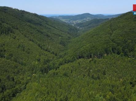 Prodej pozemku, les, 207 244 m²