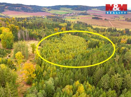 Prodej pozemku, les, 12 446 m²