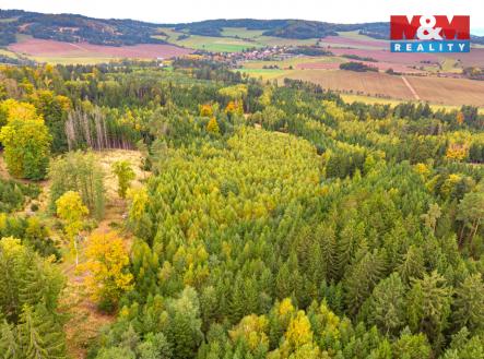 Prodej pozemku, les, 12 446 m²