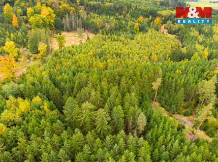 Prodej pozemku, les, 12 446 m²