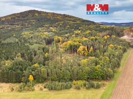 Prodej pozemku, les, 39 171 m²