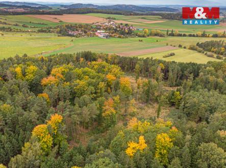 Prodej pozemku, les, 39 171 m²