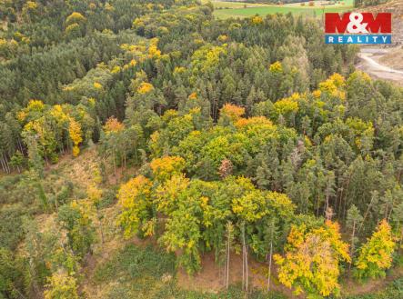 Prodej pozemku, les, 39 171 m²