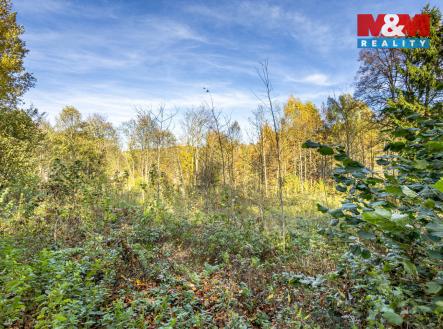 Prodej pozemku pro bydlení, 3 659 m²