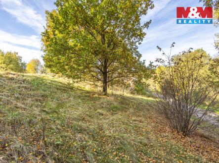 Prodej pozemku pro bydlení, 3 659 m²