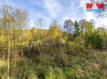 Prodej pozemku pro bydlení, 3 659 m²